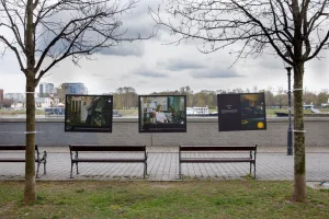 Closed Workspaces: Facing the Unknown - 10