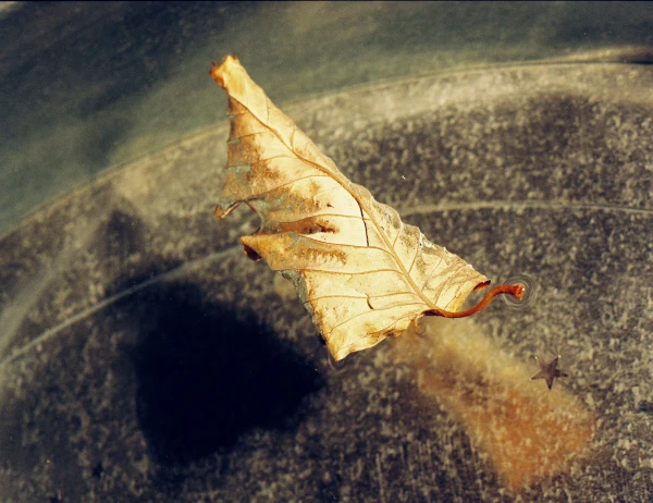 Her Gaze at That - 22