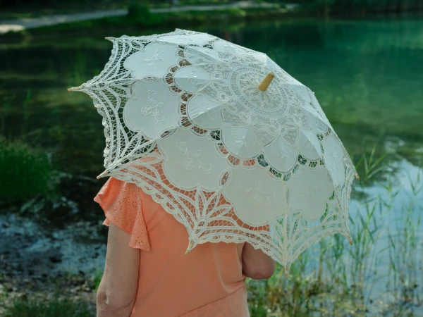 On Butterflies and Dinosaurs - 05