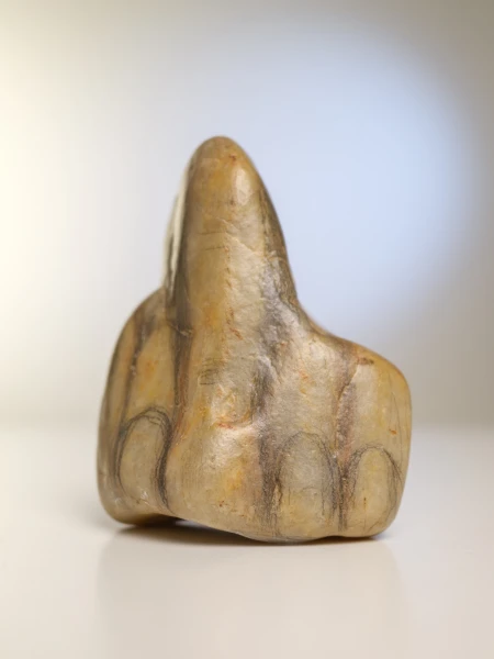 On Butterflies and Dinosaurs - 06