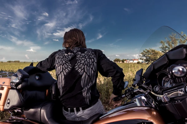 Taming the Hobbyhorse - 10