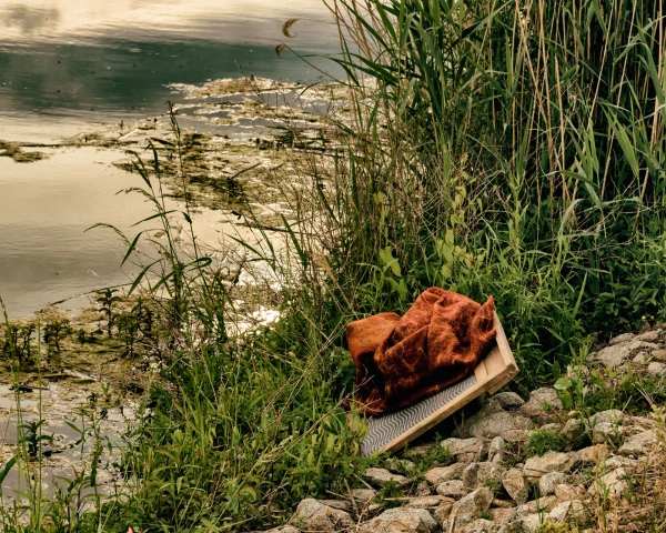 Taming the Hobbyhorse - 06